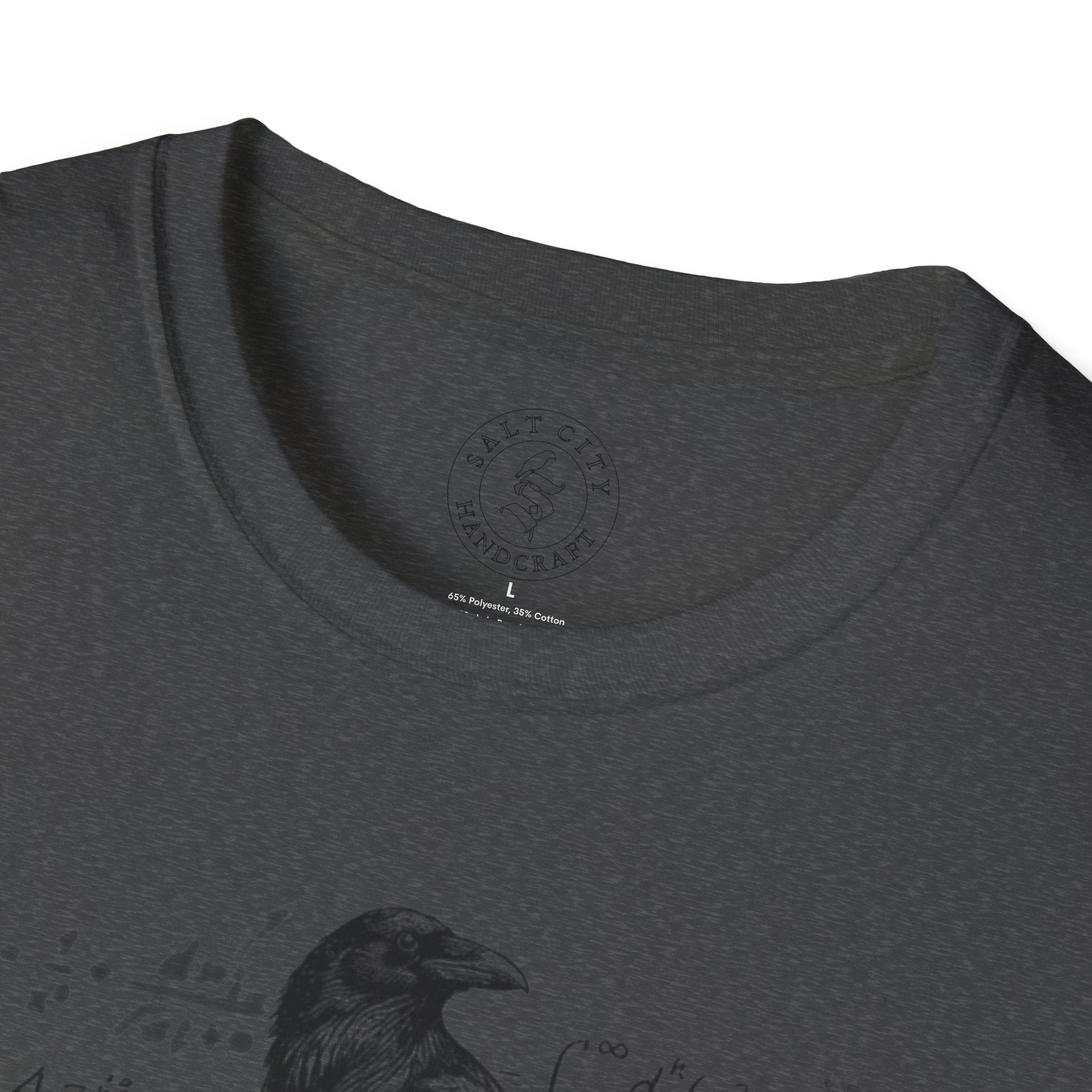 Raven Skull Graphic Tee | Skull T-Shirt | Raven Tee